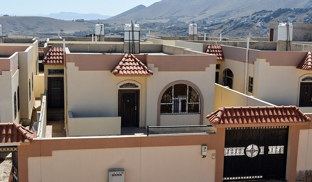 تضامن سيتي 1